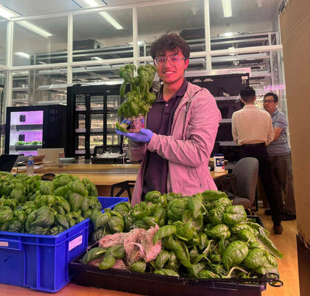 Notre Dame engineering student Johan Rengifo holds up basil plant he helped grow at Farmacy.